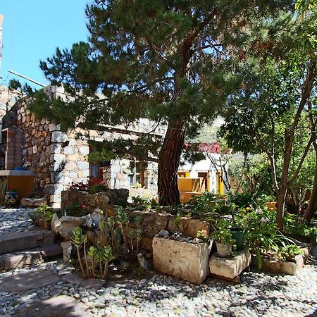 דירות Catorce Casa Curtos חדר תמונה