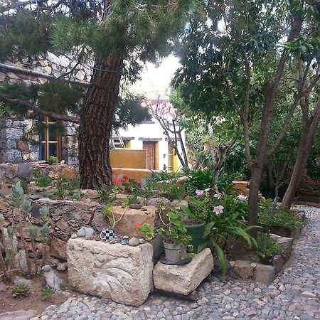 דירות Catorce Casa Curtos חדר תמונה