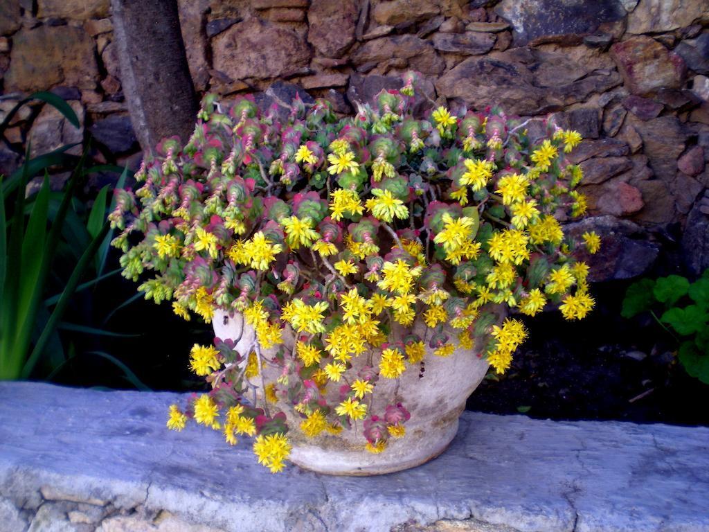 דירות Catorce Casa Curtos חדר תמונה