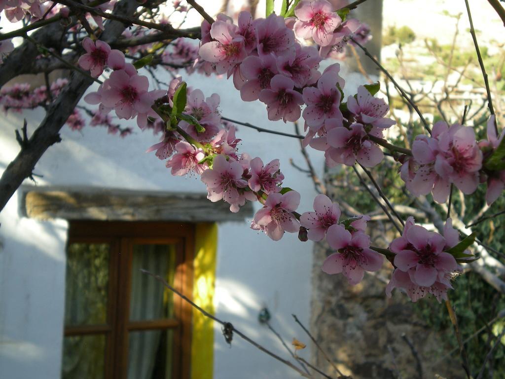 דירות Catorce Casa Curtos חדר תמונה